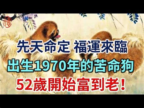 70年次屬什麼|1970年是什麼生肖？70年生人命運如何？五行屬釵釧。